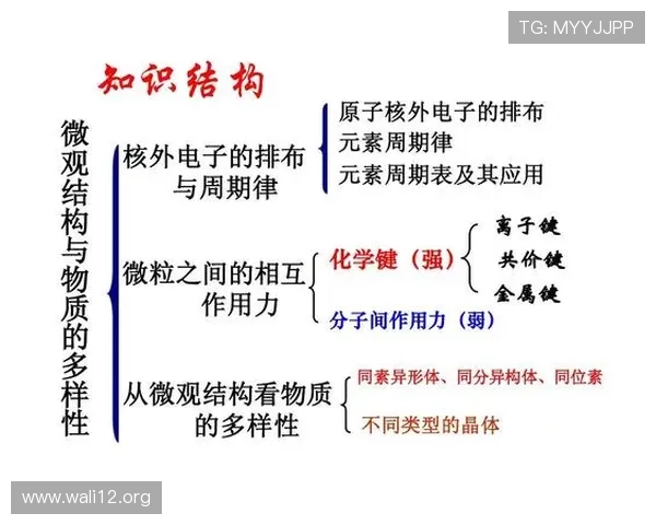 全面解析18电子微粒的结构与物理特性研究